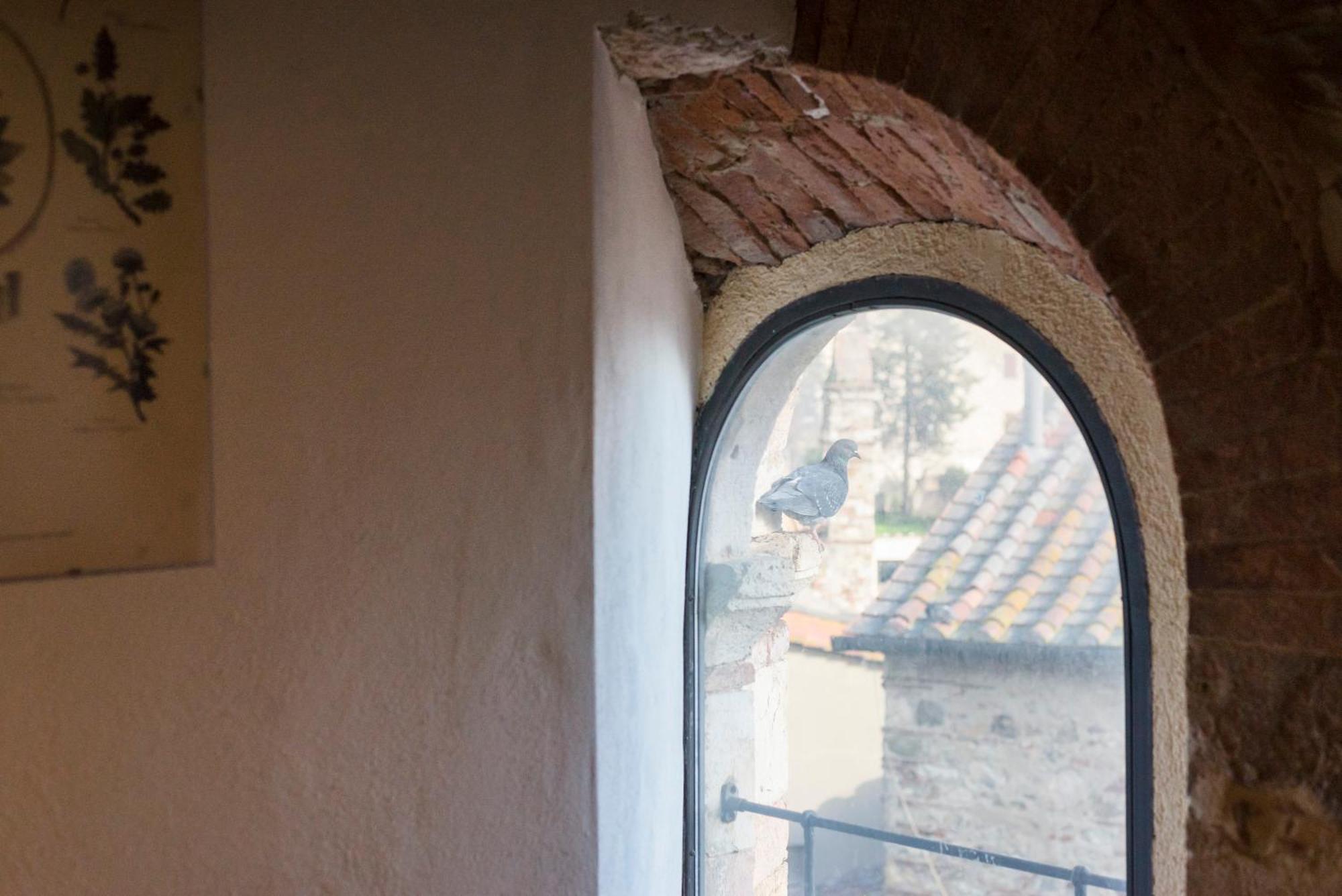 Il Chiostro Appartamenti & Suites Suvereto Εξωτερικό φωτογραφία