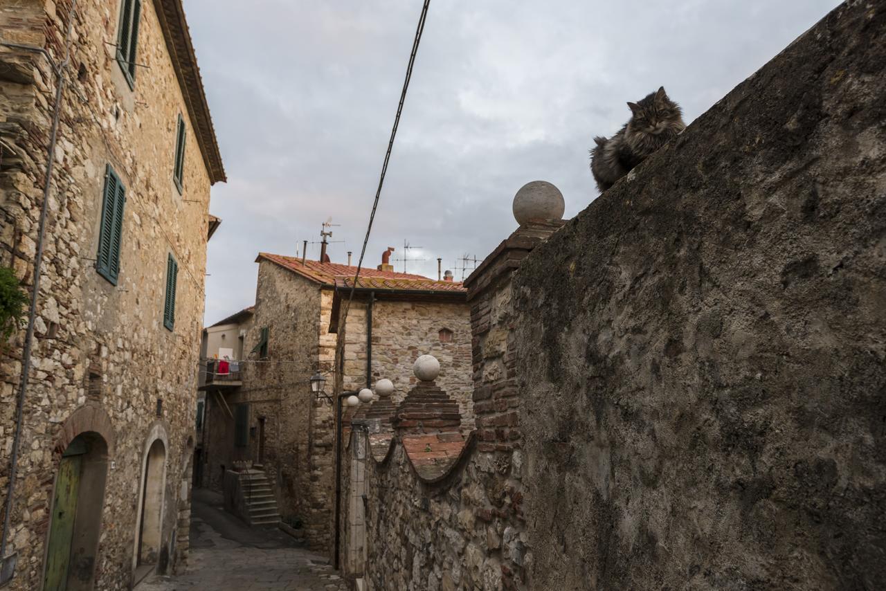 Il Chiostro Appartamenti & Suites Suvereto Εξωτερικό φωτογραφία